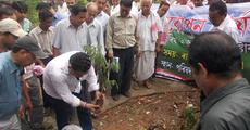 Plantation drive at Bishnu Rabha Park 