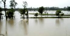 Flood situation not critical: Gogoi