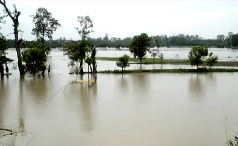 Flood situation not critical: Gogoi