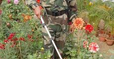 R-Day securtity