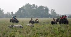 Pobitora beckons tourists