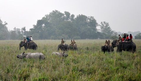 Pobitora beckons tourists