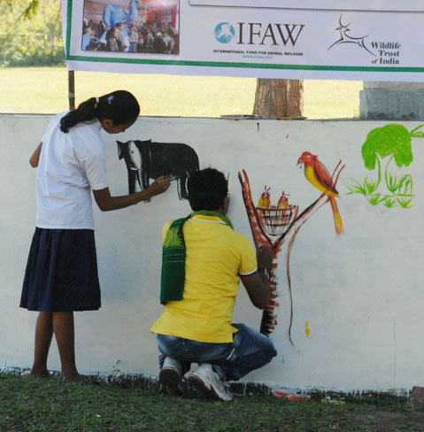 Paint Manas Green project