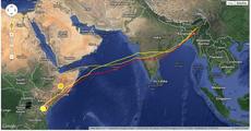 Amur Falcons reach Africa