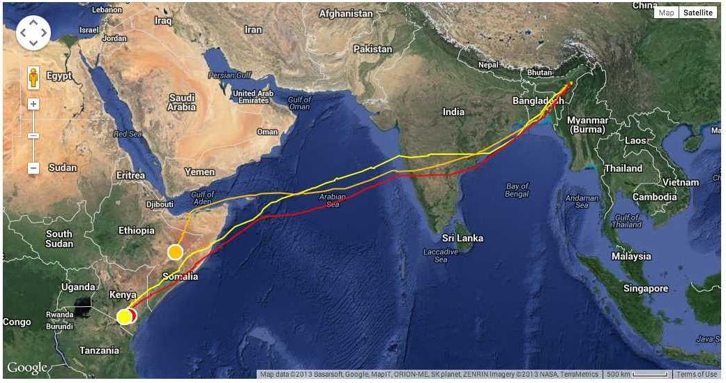 Amur Falcons reach Africa