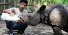Manas animal keeper gets Wildlife Service Award