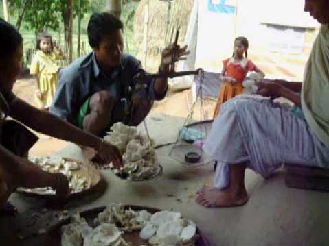 Mushroom industry and social enterprise