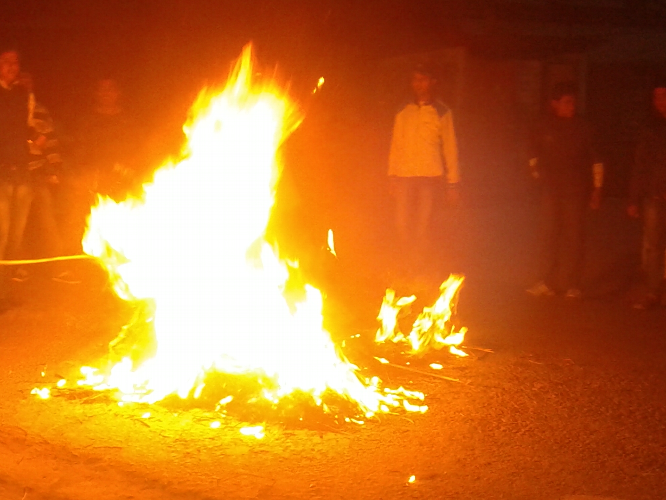 Sanjay Singh's effigy burnt